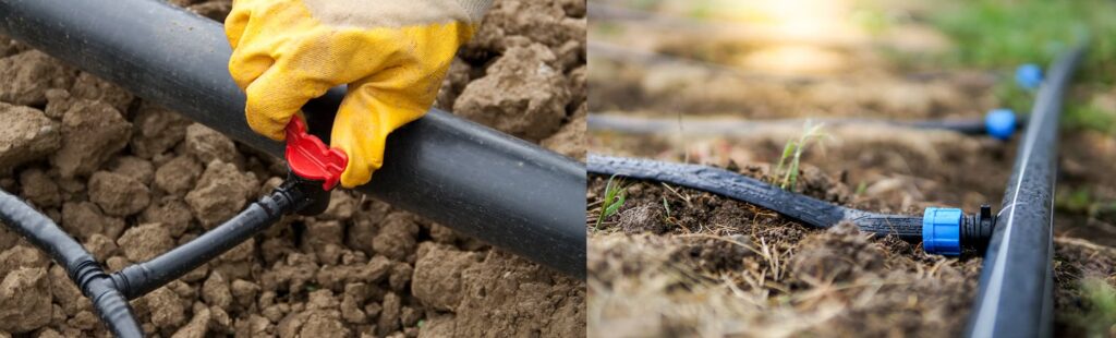 Connectors and Valves